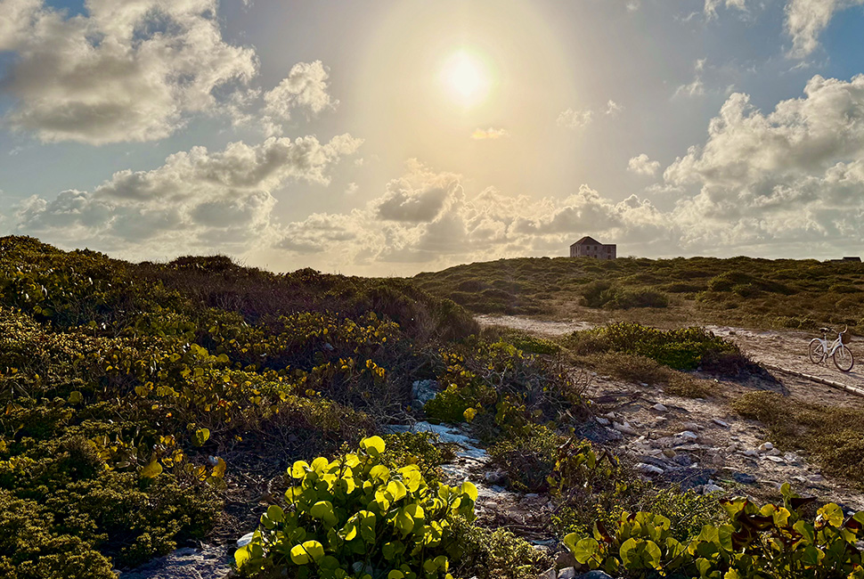 Salterra, a Luxury Collection Resort & Spa