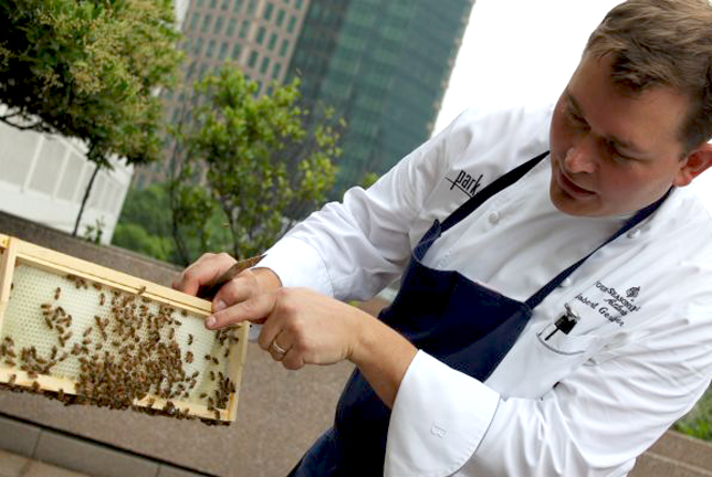 Five Hotels with Buzzworthy Beehives