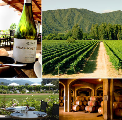 Taking A Day Trip Into Chilean Wine Country – Forbes Travel Guide Stories