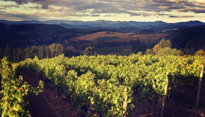 Your Warm-Weather Guide To Oregon’s Willamette Valley – Forbes Travel ...