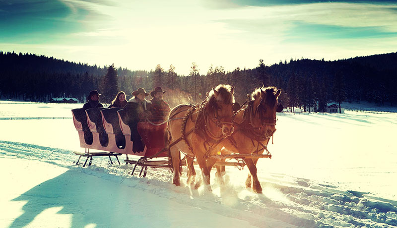 12 Out-Of-The-Ordinary Christmas Getaways – Forbes Travel Guide Stories