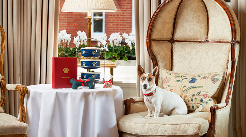 6 DogFriendly Hotels In London Forbes Travel Guide Stories