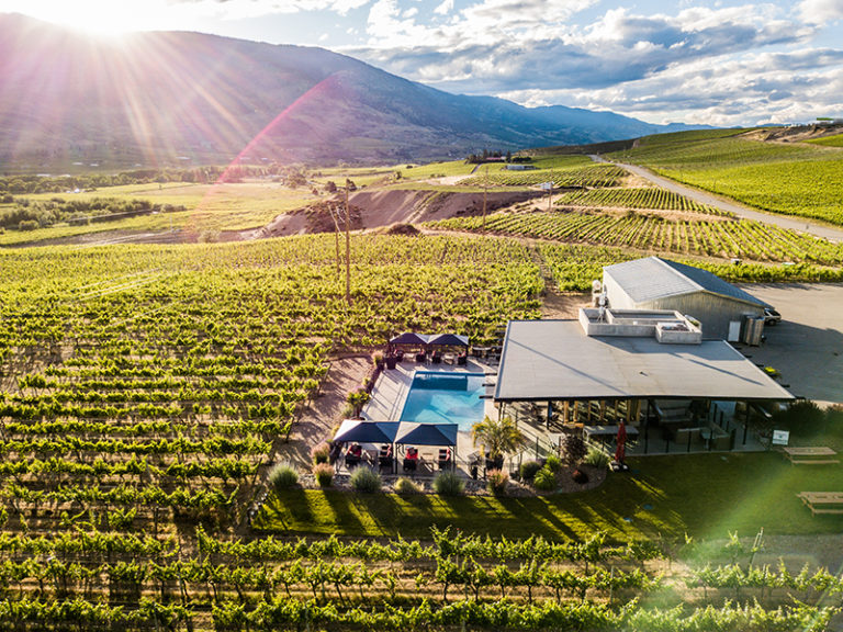 7 Unique Winery Experiences In Canada’s Okanagan Valley Forbes Travel