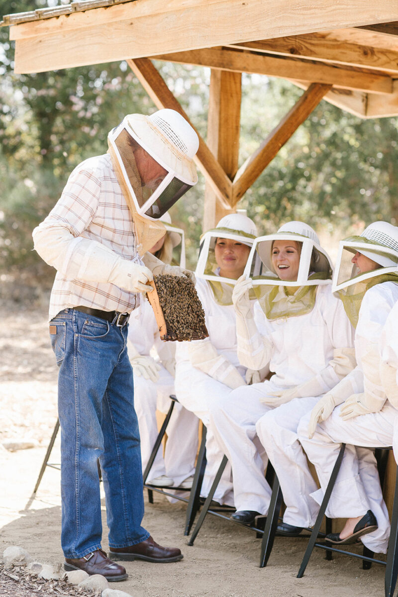 Beekeeping at Ojai Valley Inn