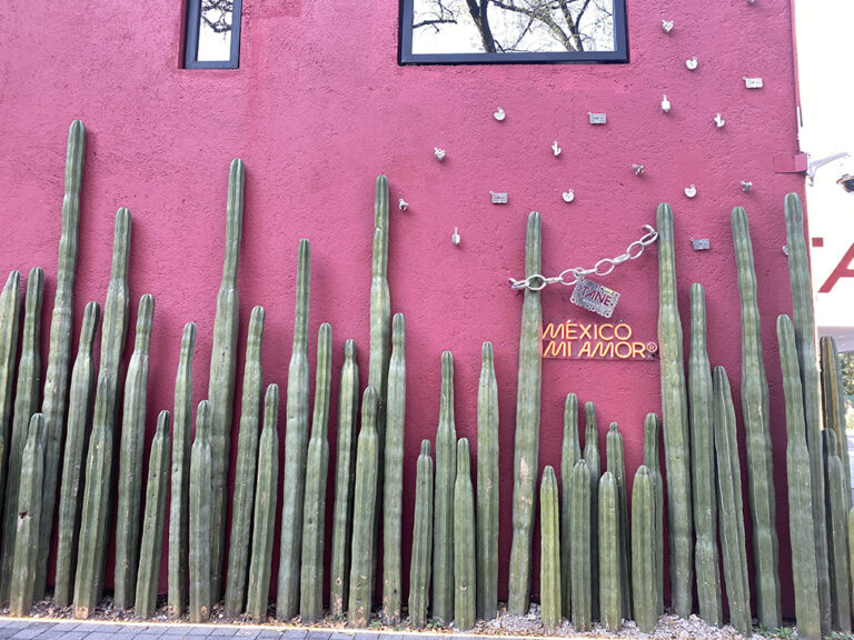 The Best Souvenirs To Buy In Mexico City Forbes Travel Guide Stories