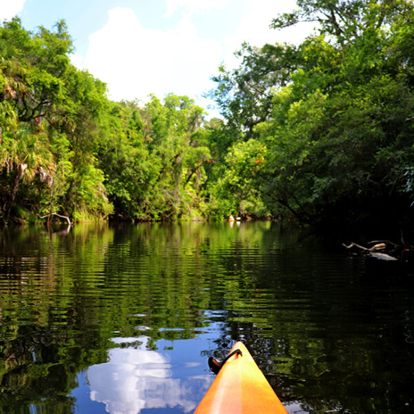 Where To Have A Family Adventure In Florida