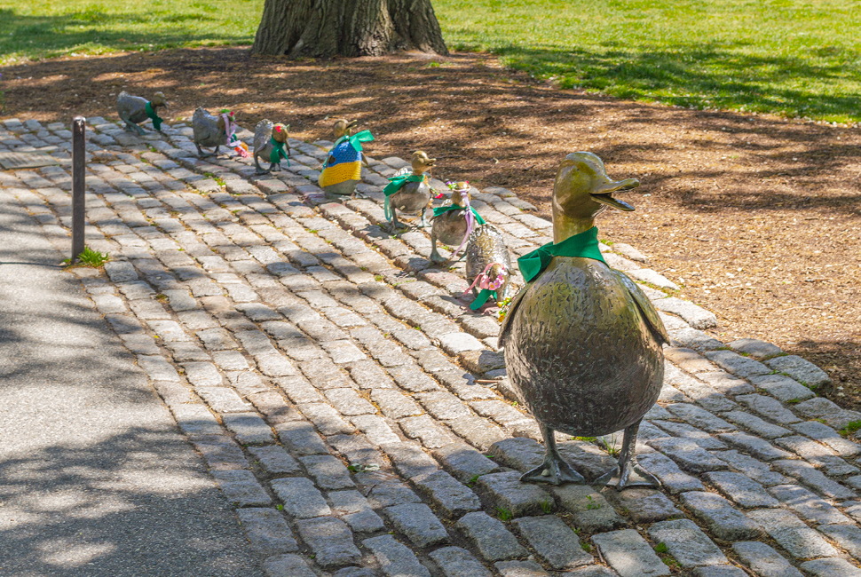 The Boston-centric book for kids, "Make Way for Ducklings"