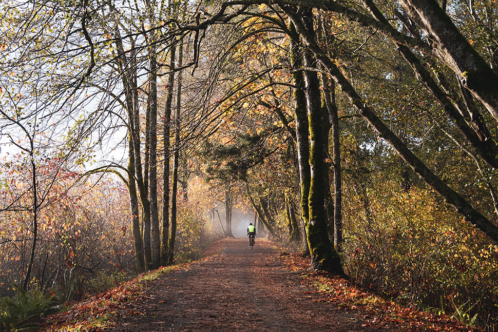 British Columbia's Lochside Regional Trail