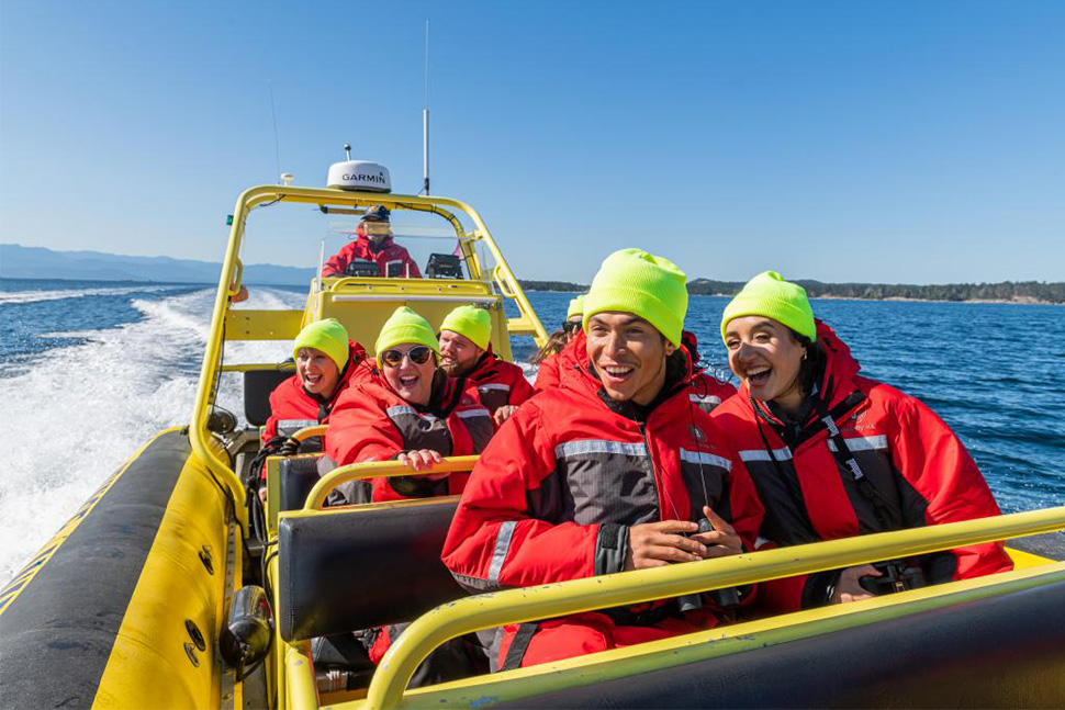 Whale watching in Victoria, British Columbia