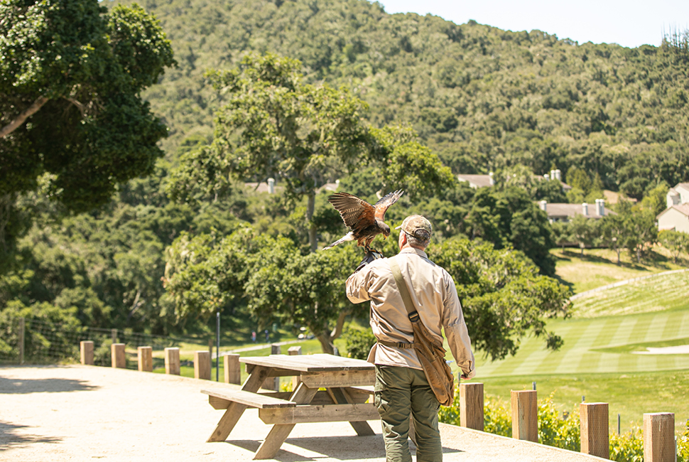 Carmel Valley Ranch