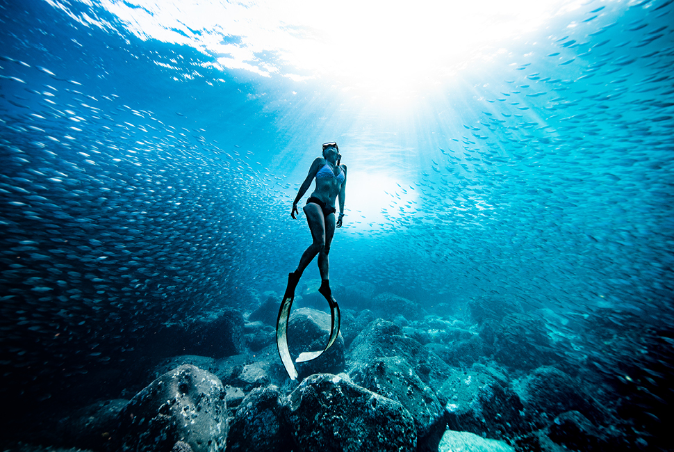 Free diving in Hawaii