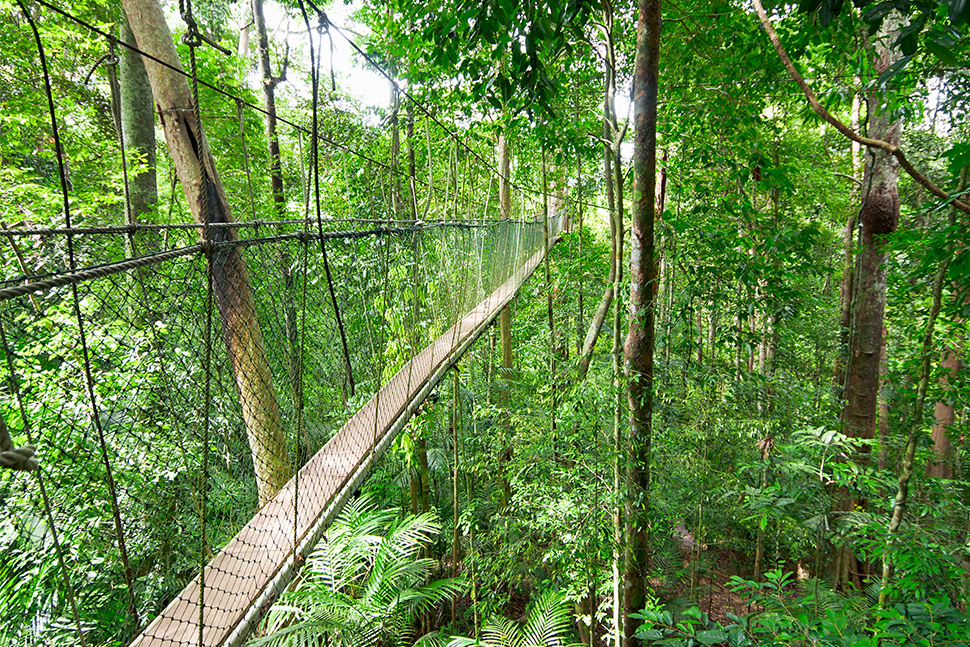 Taman Negara National Park