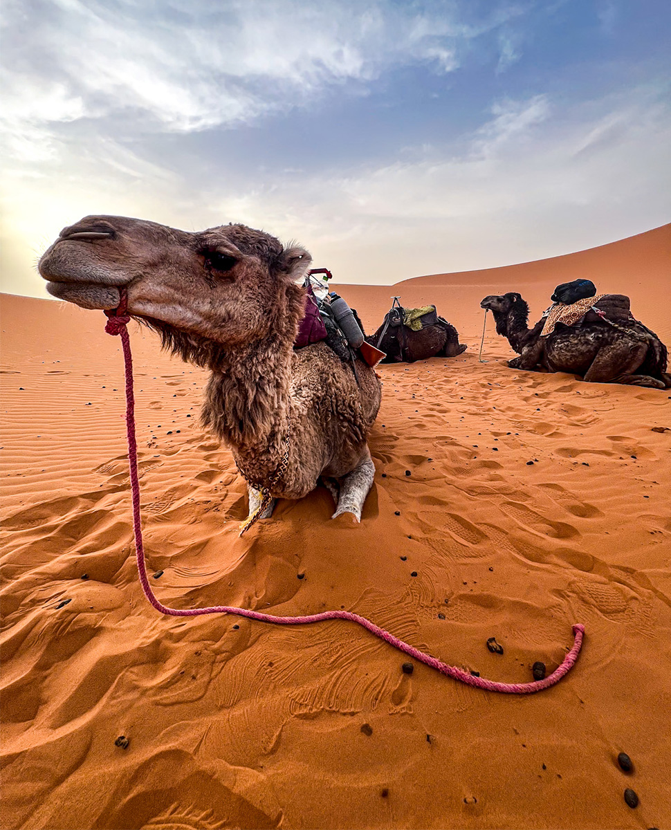 Merzouga