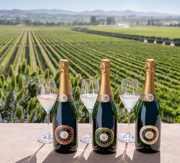 Napa Valley
