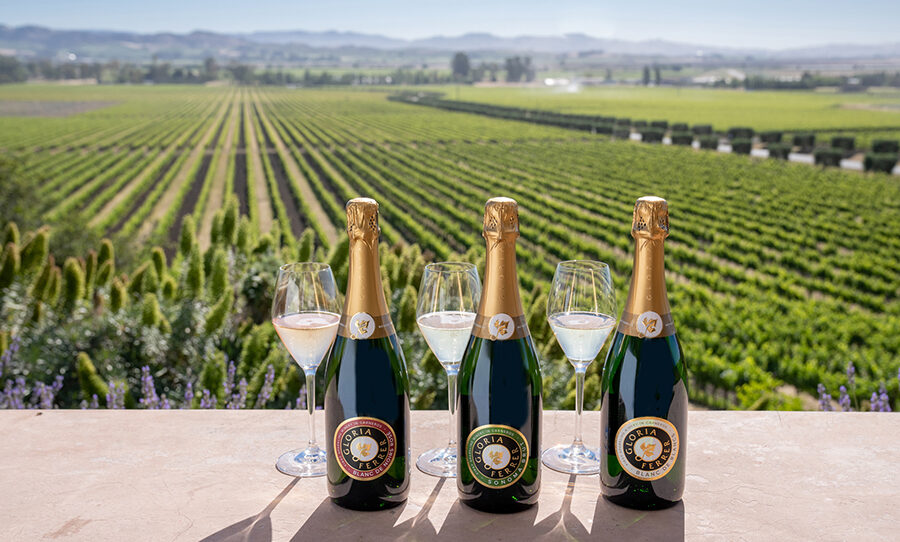Napa Valley