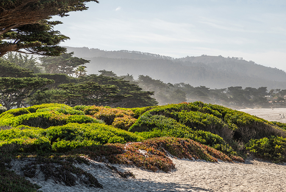 Pebble Beach