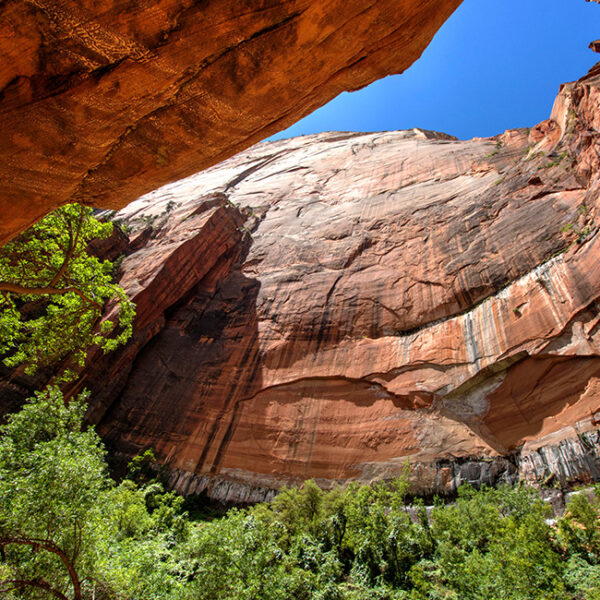 Zion National Park