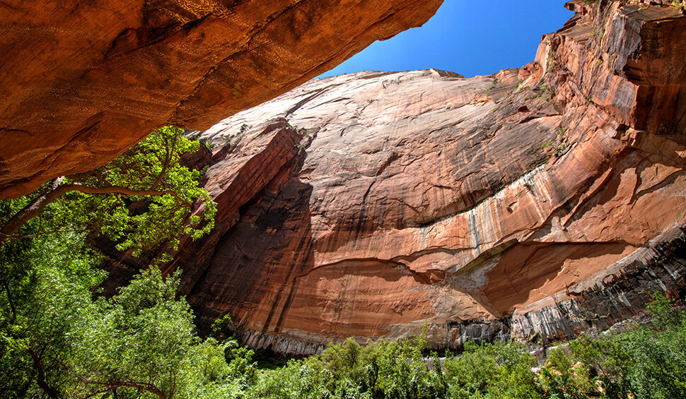 Zion National Park