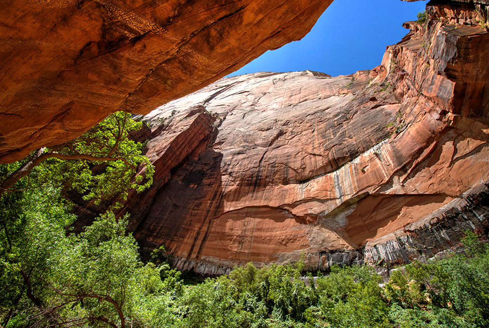 Zion National Park