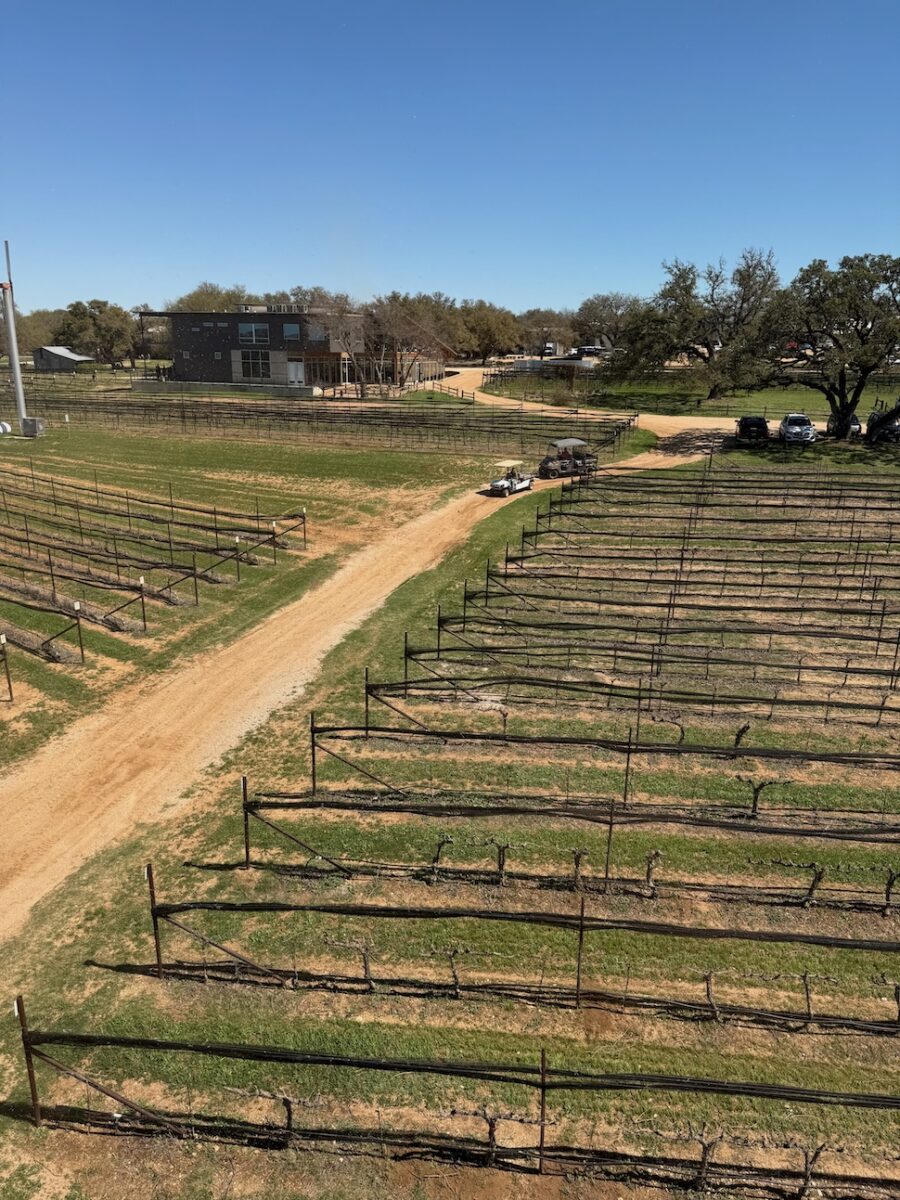 William Chris Vineyards