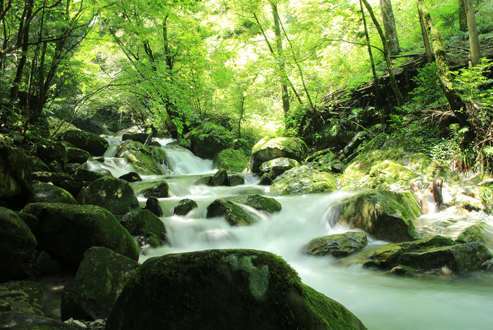 Nogochi Ravine