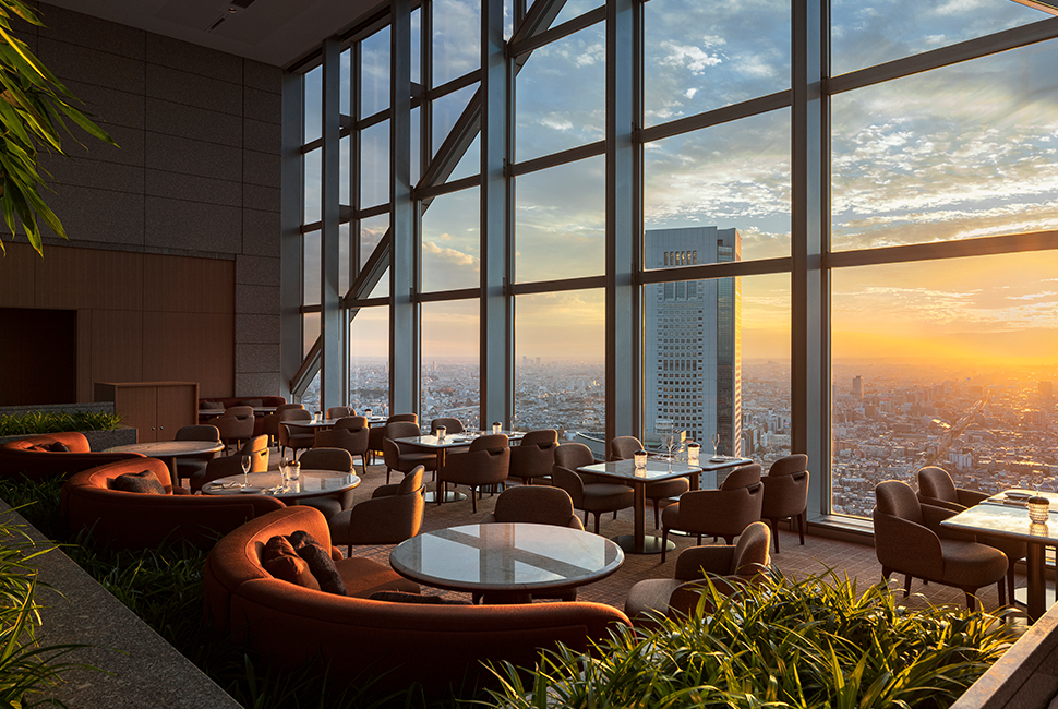 Park Hyatt Tokyo's Peak Lounge