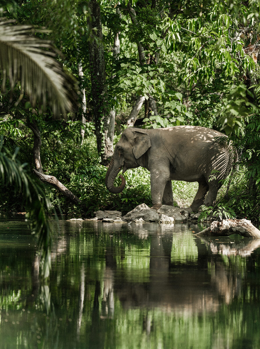 Phulay Bay, a Ritz-Carlton Reserve