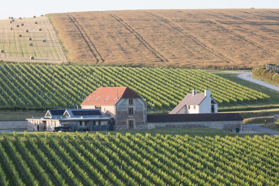 Rathfinny Wine Estate