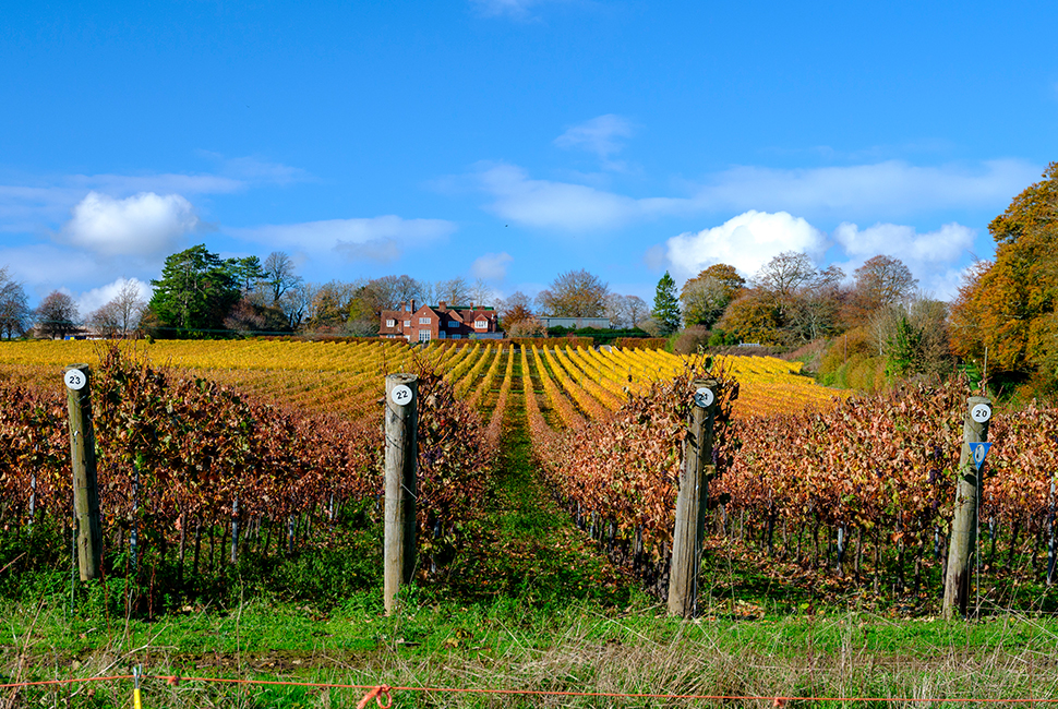 Hambledon