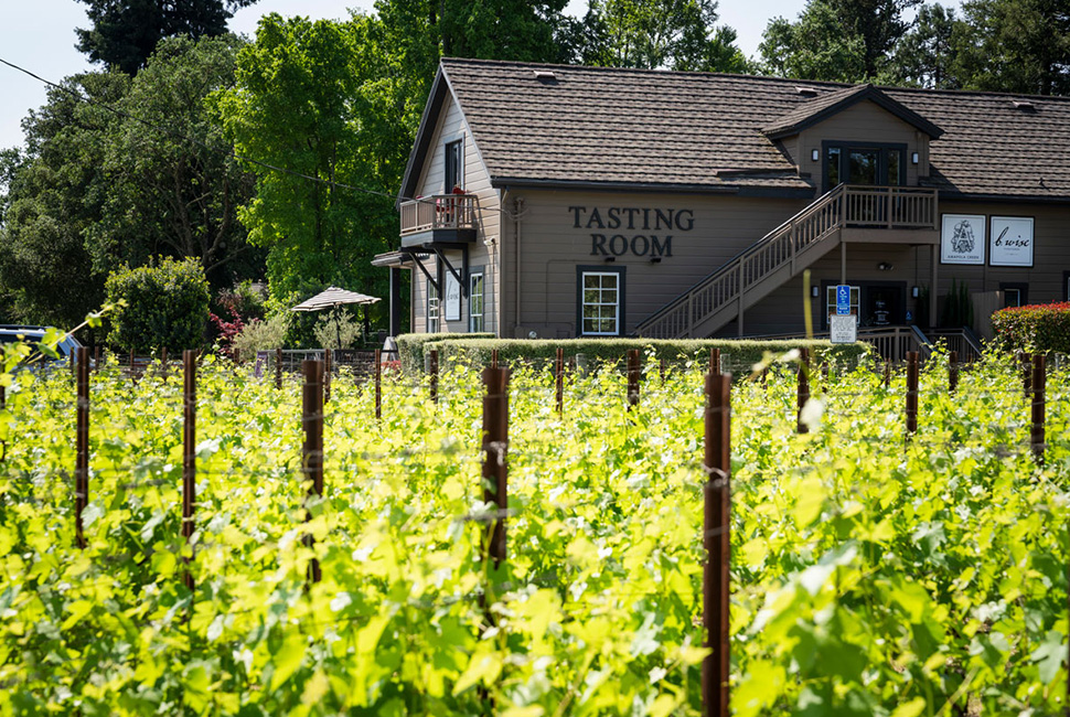 B. Wise Vineyards