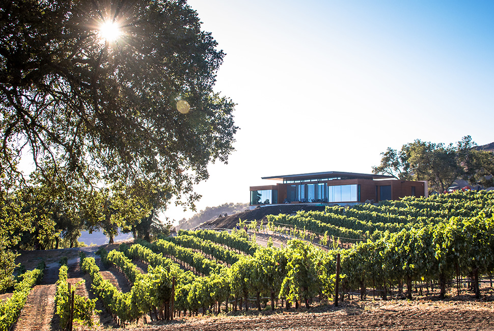 Kamen Estate Wines