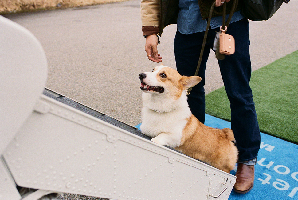 Bark Air