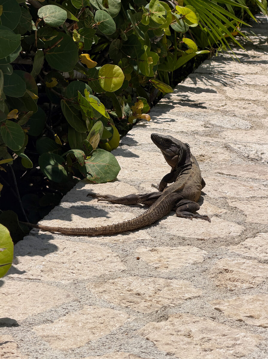 Xcaret